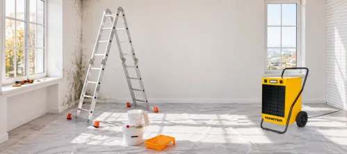 Project - Ako vzniká pleseň na stenách? 3 príčiny a trvalé riešenie